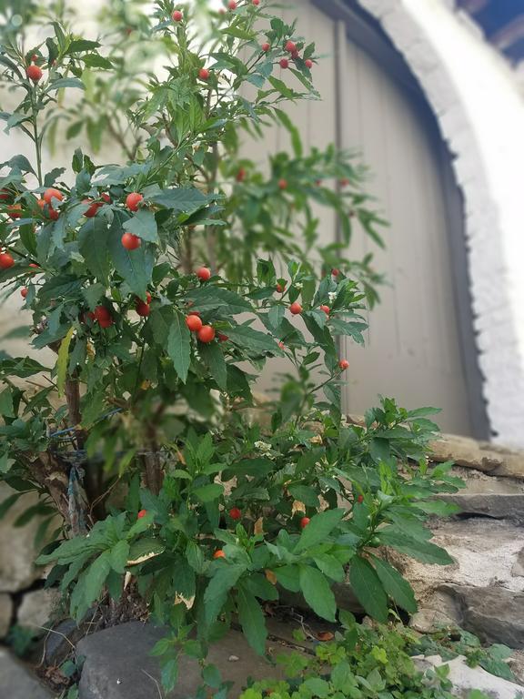 Lori'S Traditional House Gjirokaster Ngoại thất bức ảnh